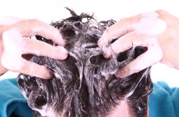 Der Artikel berichtet über Bio-Haarpflegeprodukte.