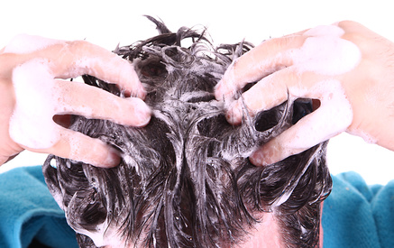 Der Artikel berichtet über Bio-Haarpflegeprodukte. 