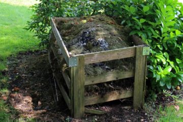 „Bio-Recycling“: Der eigene Kompost